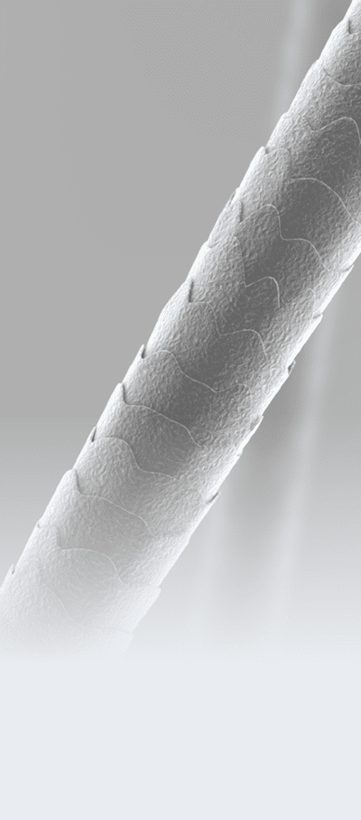 Human hair under microscope. Close-up. Black and white. 3D illustration.