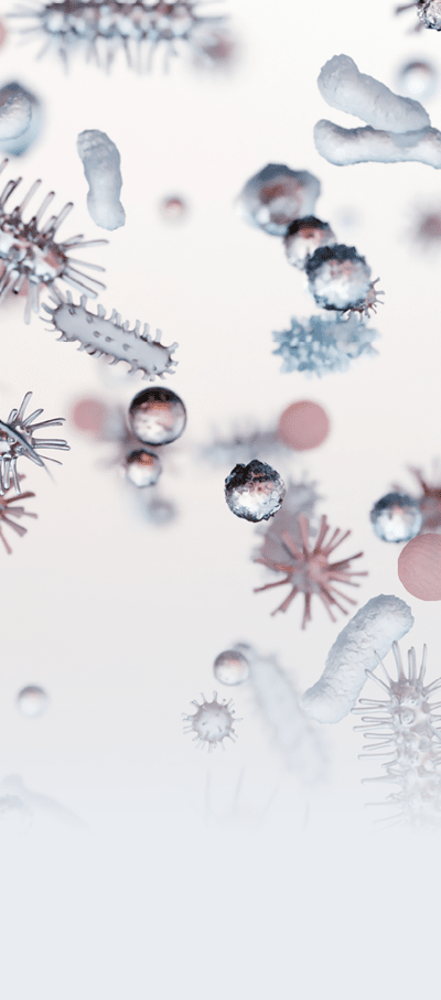 Different types of virus and bacteria and microbe and germs set, Microbiology organism, biology microorganism infection, Types of pathogens, Illness or disease cells, Pathogenic bacterias, 3d render
