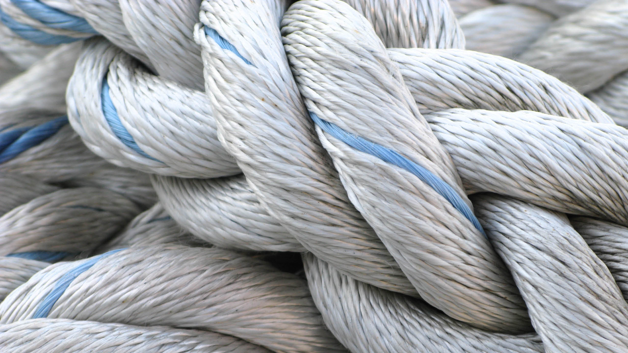 A close up of a knotted rope at a marina.