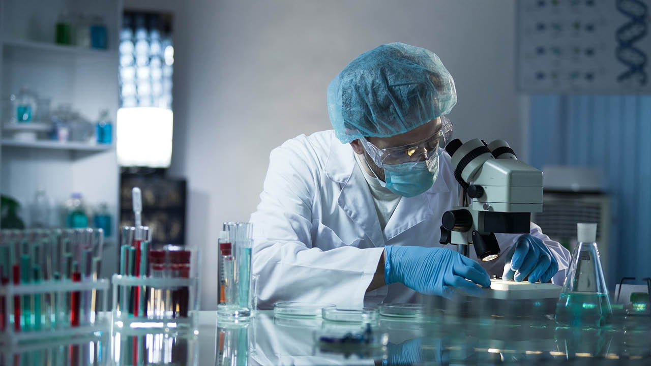 Medical lab worker examining laboratory glass with sample through microscope